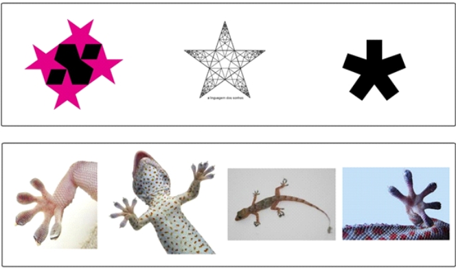 Figura 7a: Acima. Imagens de referência utilizados na marca Operis. Figura 7b: Imagens de referência utilizados na marca Operis. Fonte: Und Design, 2013.